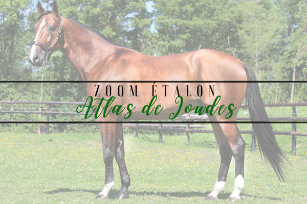 Photo Zoom Etalon : ATLAS DE JOUDES