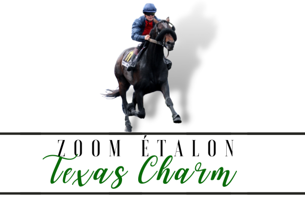 Photo Zoom Etalon : TEXAS CHARM