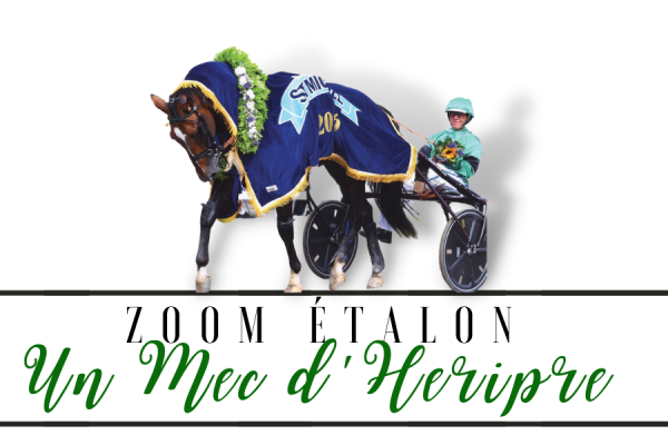 Photo Zoom Etalon : UN MEC D'HERIPRE Photo Zoom Etalon : UN MEC D'HERIPRE