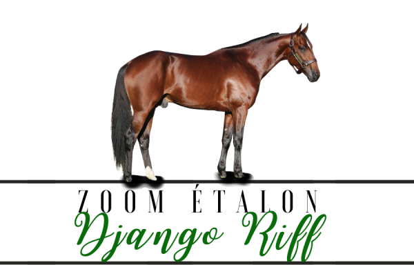 Photo Zoom Etalon : DJANGO RIFF