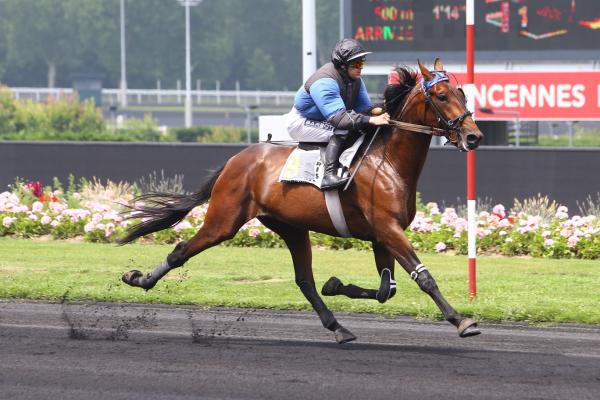 Photo ETONNANT remporte l'Elitloppet !