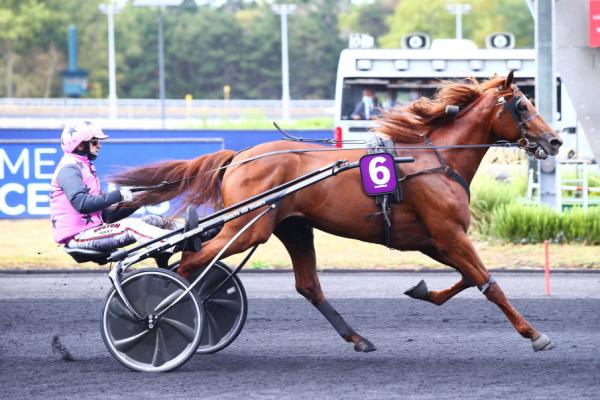 Photo En route vers le Critérium des 5 ans pour HOOKER BERRY