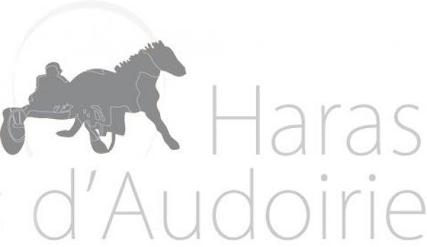 Photo Les étalons du Haras de l'Audoirie - Saison 2023 Photo Les étalons du Haras de l'Audoirie - Saison 2023