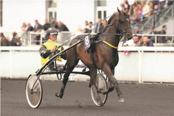 Photo BRIAC DARK : 1 vainqueur et 2 placés