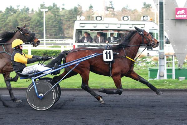 Photo DRAGON DU FRESNE : 1er vainqueur de Groupe Photo DRAGON DU FRESNE : 1er vainqueur de Groupe