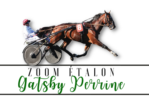 Photo Zoom Etalon : GATSBY PERRINE