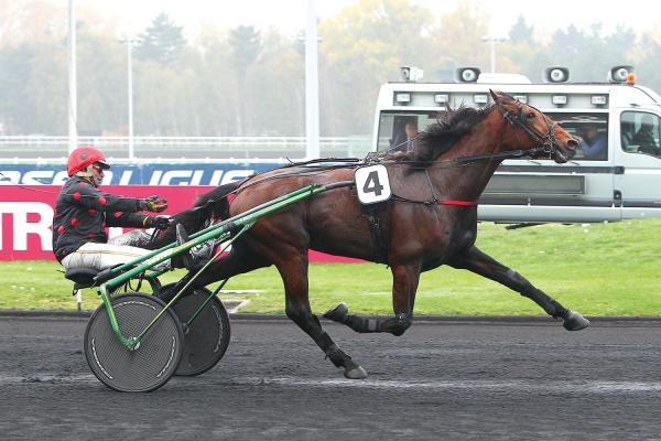 Photo CLIF DU POMMEREUX : 1 vainqueur et 4 placés Photo CLIF DU POMMEREUX : 1 vainqueur et 4 placés