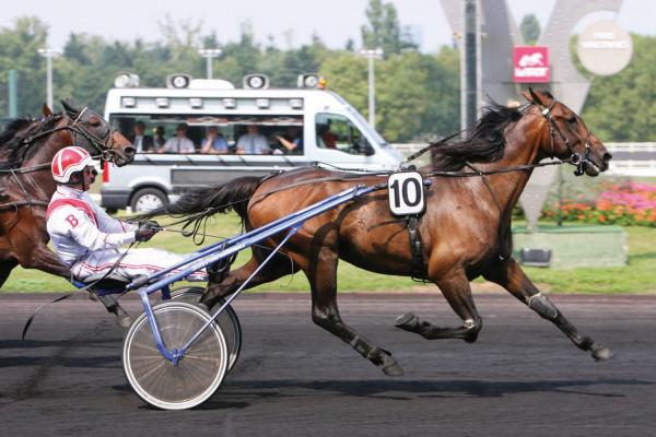 Photo VILLAGE MYSTIC : 4 vainqueurs et 9 placés