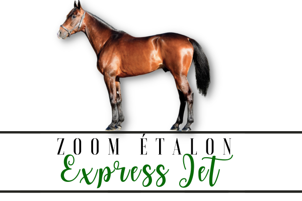 Photo Zoom Etalon : EXPRESS JET