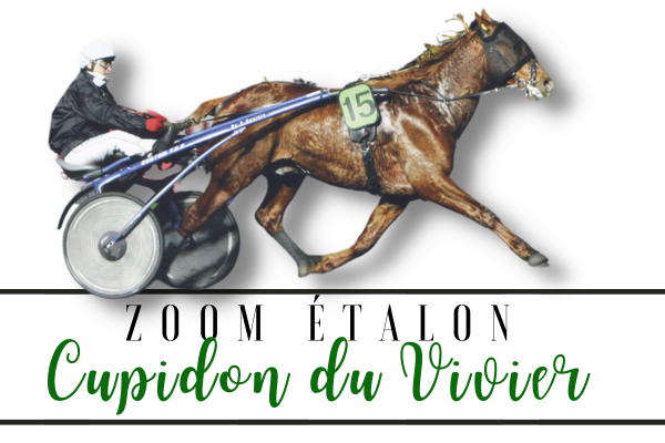 Photo Zoom Etalon : CUPIDON DU VIVIER