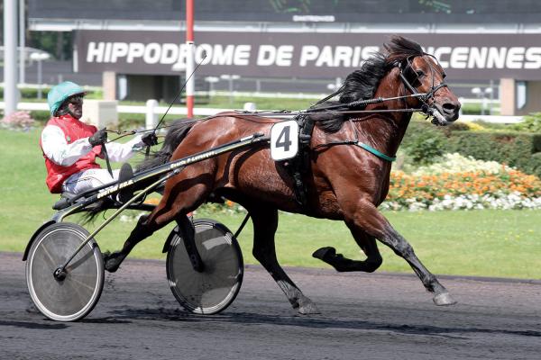 Photo TORNADO BELLO : 4 vainqueurs ce week-end ! Photo TORNADO BELLO : 4 vainqueurs ce week-end !