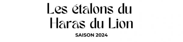 Photo Les étalons du Haras du Lion - Saison 2024