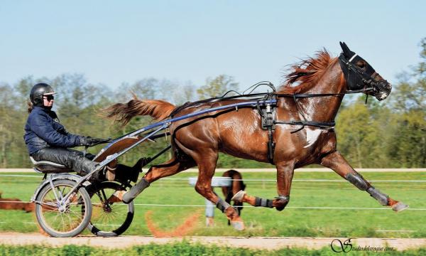 Photo DÉSIR CASTELETS : premier gagnant ce week-end !