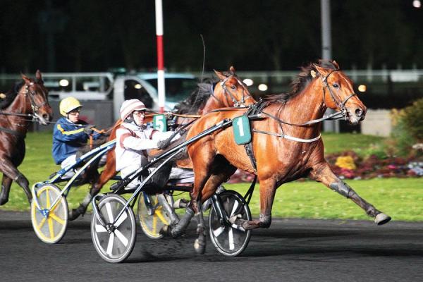 Photo DIJON : 7 gagnants et 6 placés en février !