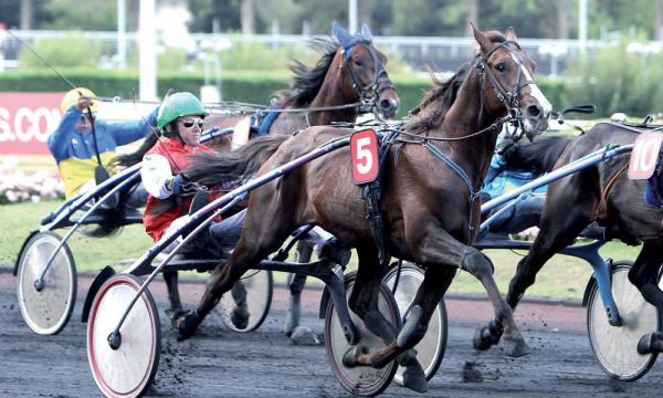 Photo VIVALDO BELLO : 4 gagnants et 3 placés depuis le début du mois !