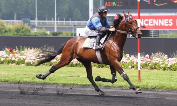 Photo Un excellent taux de réussite pour ETONNANT (TIMOKO) !