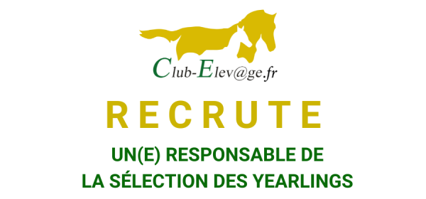 Photo OFFRE D'EMPLOI : Un(e) responsable de la sélection des yearlings