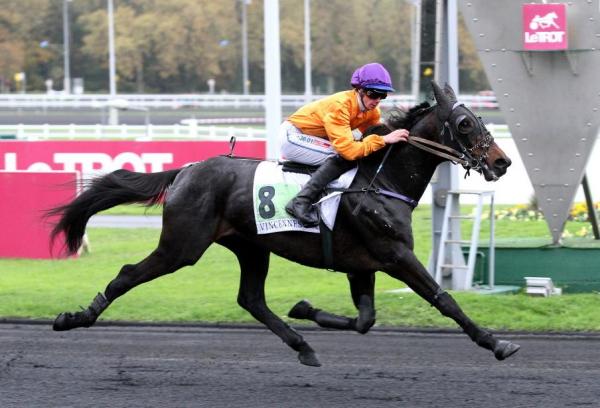 Photo CANADIEN D'AM : 1 gagnant de groupe 2 ce week-end à Vincennes !