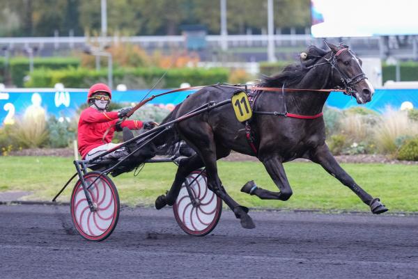 Photo Karnac Wood s'illustre avec une victoire en catégorie D